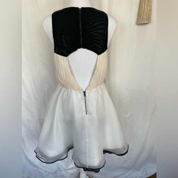 Alice+Olivia Party Dress - Picture 3 of 12